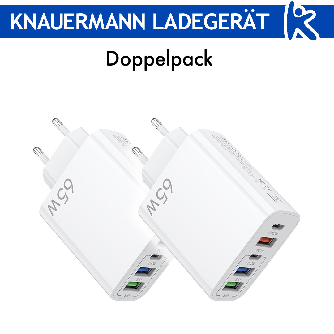 Knauermann LADEGERÄT (2024)