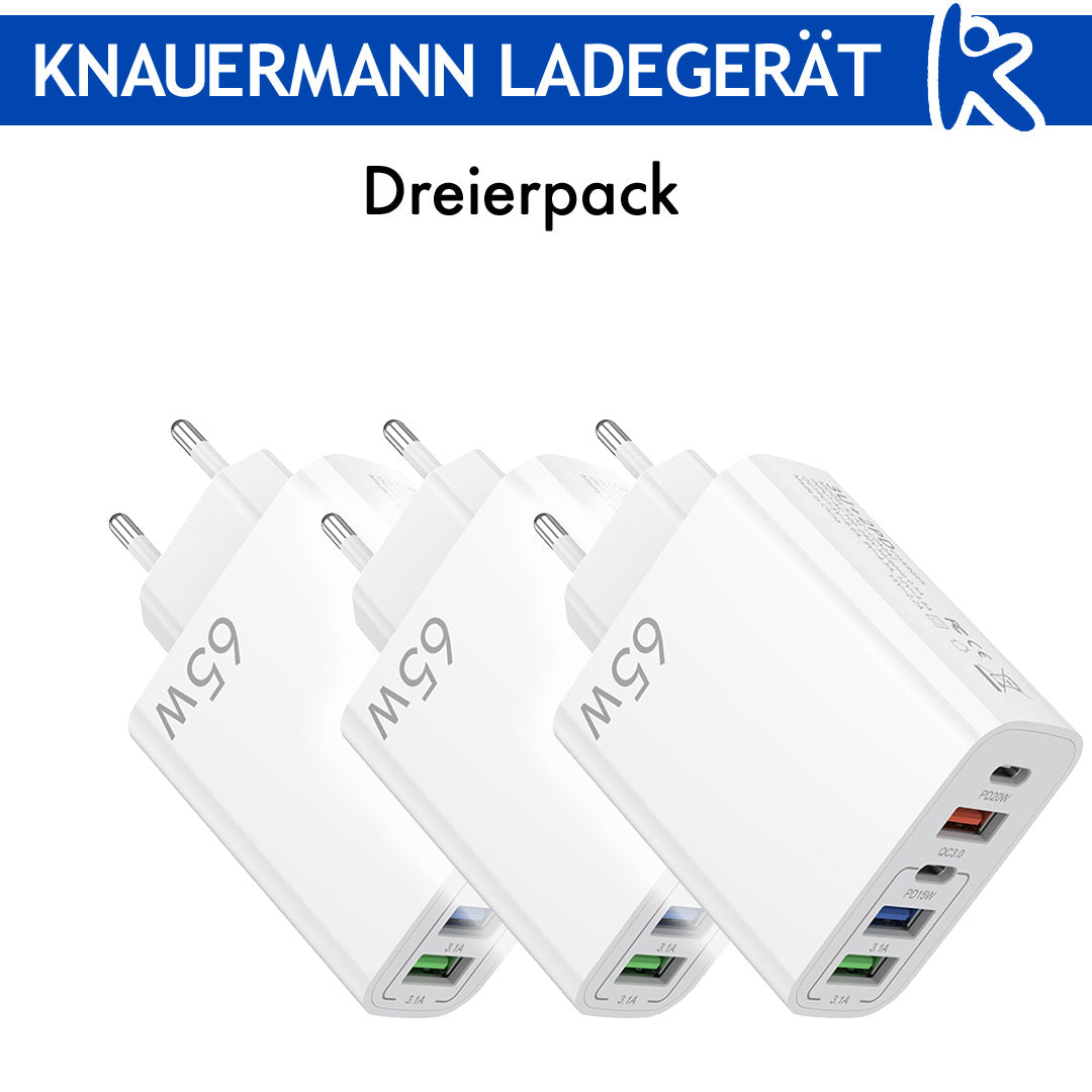 Knauermann LADEGERÄT (2024)