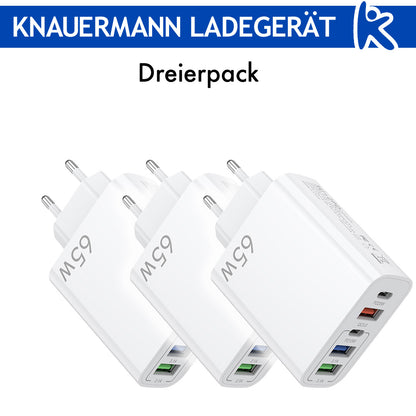 Knauermann LADEGERÄT (2024)