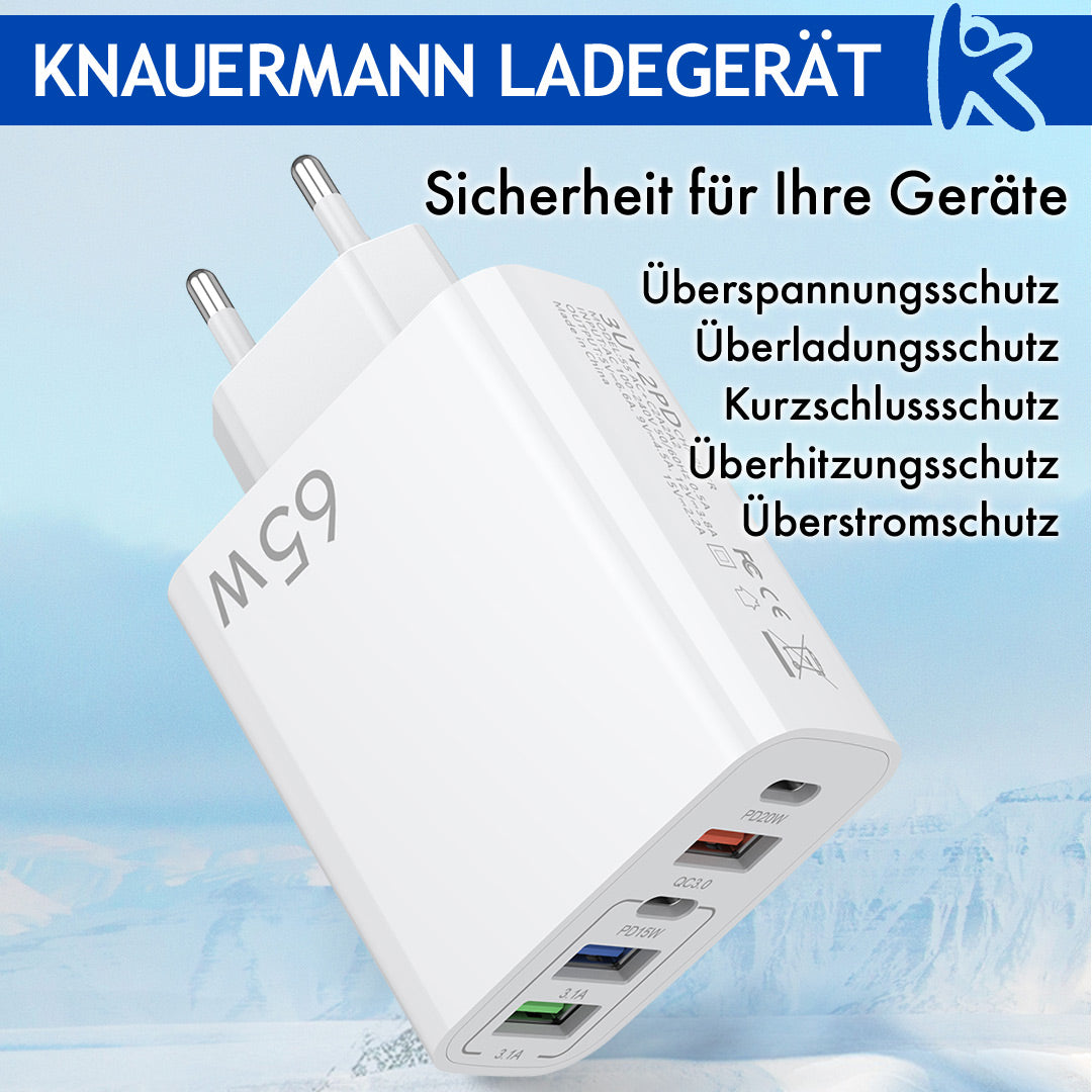 Knauermann LADEGERÄT (2024)