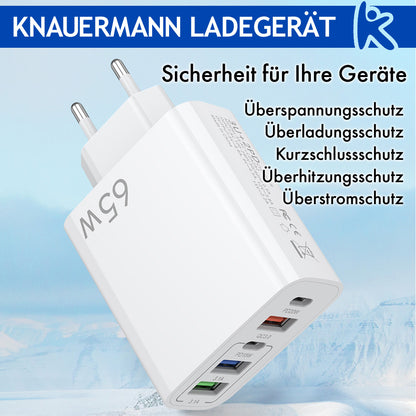Knauermann LADEGERÄT (2024)