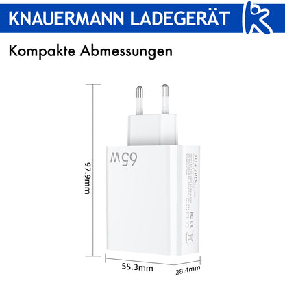 Knauermann LADEGERÄT (2024)